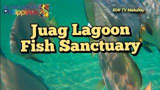 Juag Lagoon Fish Sanctuary | Matnog, Sorsogon