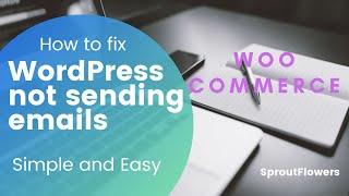 How to fix email not sending issue in WordPress?