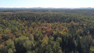 Forestry for the Future: Lessons in Sustainable Management from Maine