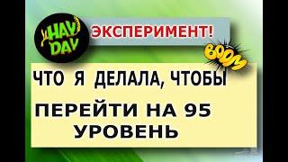 HAY DAY. Поможет ли пшеница перейти на следующий уровень?