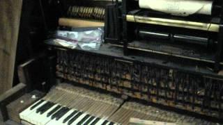 Adam Schaaf 1921 upright cabinet grand player Piano Katrina Repair (2) Marsh grass in keys