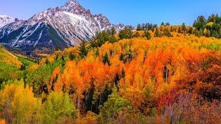 Музыка Для Души  Осень (Beautiful Autumn) 