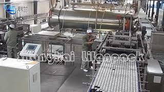 Full automatic loading and unloading machine for autoclave basket