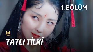 Tatlı Tilki l 1. Bölüm l My Sweet Fox | Wen Hong Yi, Li Rui Xue l 梦中捡个国师大人