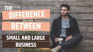 what is the difference between a small and large business - small medium and large scale business