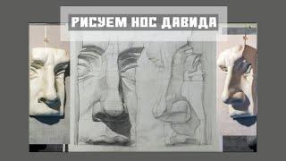 Рисуем нос Давида