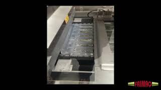 Frimaq TFF Thermoforming Packaging Machine - Long product