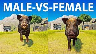 Wild Boar A Male vs Female Speed Race in Planet Zoo