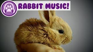 Music for Rabbits! Calm and Soothe Your Rabbit and Stop Anxiety!