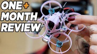 This Tiny Whoop Made Me Buy An Analog Goggle in 2024!!  | Sub250 Nimble65 65mm Long Term Review