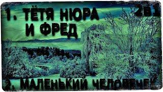 Истории на ночь (2в1): 1.Тётя Нюра и Фред, 2.Маленький человечек