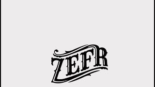 Zefr - Brand suitability targeting and measurement across walled gardens