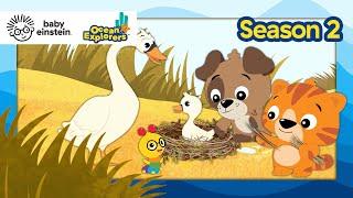 Let's Explore: Senses with Whistling Swans! | Ocean Explorers Season 2 | Baby Einstein | Education