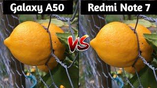 Samsung Galaxy A50 VS Redmi Note 7 Camera Test Comparison, Which is Better Camera, Galaxy A50 Review