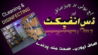 Today Clean & Disinfect Everything In My Aviary|آج ایوری کی مکمل صفائی کی