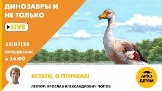 Занятие "Кстати, о птичках!" кружка "Динозавры и не только" с Ярославом Поповым