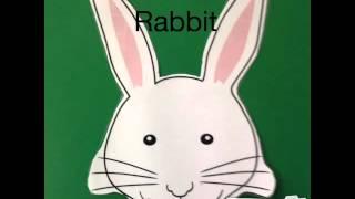 Elizabeth's Rabbit