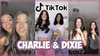 Charli and Dixie D’Amelio TikTok Compilation