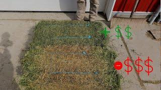 This Thumbnail Shows How Hay Farms Go Broke