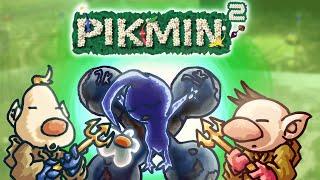 The Pikmin Squared Experience