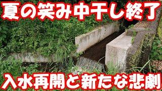 田んぼの入水作業中に嫌なものを発見してしまう。