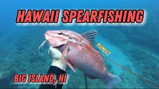 Spearfishing Big Island, HI | Summer 2024