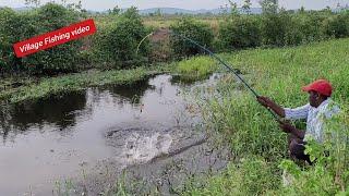 FLOAT TRADITIONAL  Single Hook Fishing For Big Tilapia and Big CatFish The in Village Fishing video