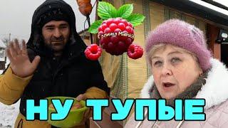 Ольга Уралочка live / Ну тупые /Обзор /Уралочка и Сафар