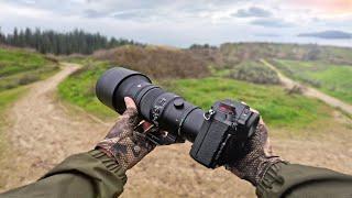 The NEW Sigma 500mm 5.6 | First Impressions for Wildlife Photography