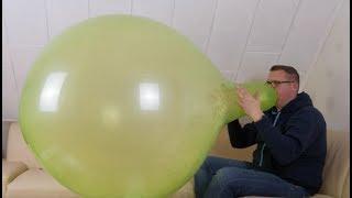 Inflating and popping a huge 36" cattex longneck balloon