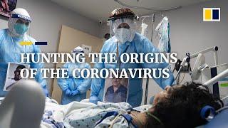 Seeking the invisible: hunt for origins of deadly Covid-19 coronavirus will take scientists to Wuhan