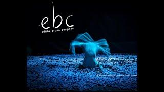 editta braun company:  touring repertory 2021/2022