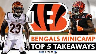 Bengals Minicamp Takeaways Ft. Dax Hill, Ja’Marr Chase & Josh Newton + Chase Brown Injury?