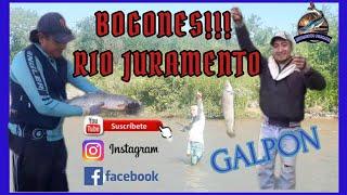 PESCA DE BOGONES!!!  GALPON - RIO JURAMENTO!!