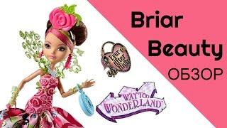 Обзор куклы  Браер Бьюти Путь в Страну Чудес / Briar Beauty Way Too Wonderland Ever After High CJT45