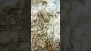 Quartz slab found in New York!