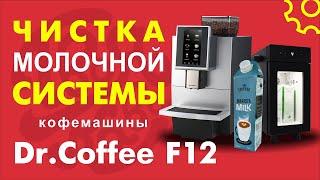 Чистка молочной стстемы кофемашины Dr.Coffee F12
