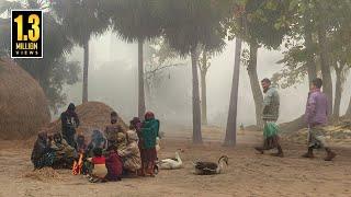 কুয়াশার চাদরে মোড়া সিরাজগঞ্জের বাকাই গ্রাম (২০২৩) || @PanoramaDocumentary