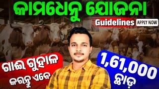 Kamdhenu Yojana Details Odisha || Kamdhenu Yojana Guidelines Odisha || Go Palan Scheme Odisha