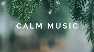 Relaxing Music for Stress Relief, Calm, Study | Beautiful Nature & Rain Sounds