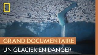 Un glacier en danger | OCEANXPLORERS : LES SECRETS DES PROFONDEURS