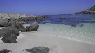 Beach in Chile Central Zapallar and Cachagua