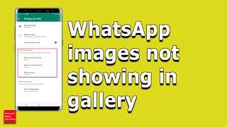 Gambar WhatsApp tidak muncul di galeri perangkat Android - Cara Memperbaikinya