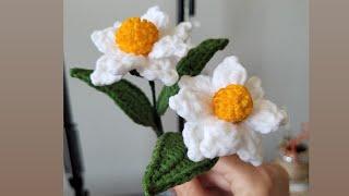 Crochet flower. For beginners