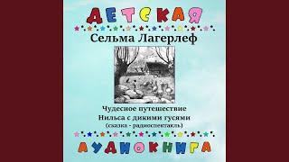 Чудесное путешествие Нильса с дикими гусями, Чт. 1