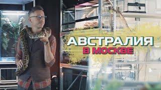 АВСТРАЛИЯ В МОСКВЕ | Как готовить стейк из страуса | БЕЗВИЗ