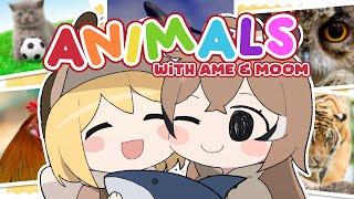 ANIMALS with Ame & Moom !!