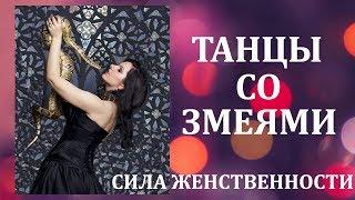 Танцы со змеями. Ариада Борзаковская