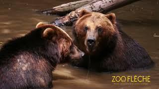 Zoo de La Flèche - Une faune exceptionnellement préservée