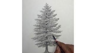 How to draw simple mode tree step by step with pensil